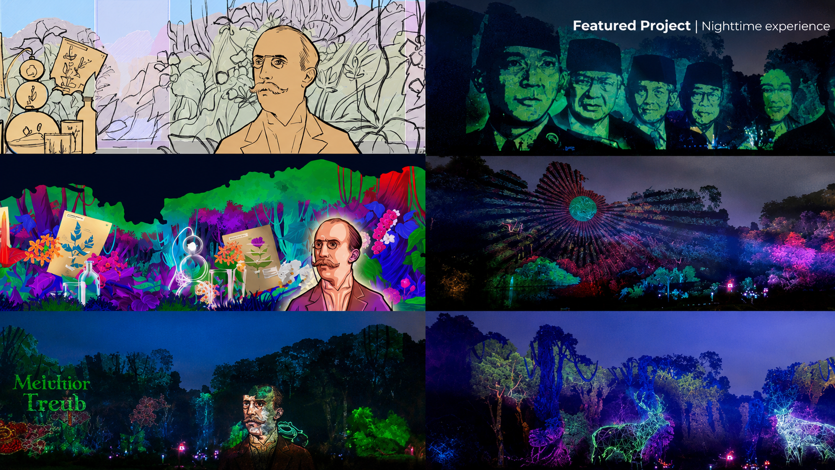 Projection Mapping on Trees